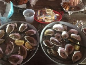 oysters at Birds Aphrodisiac Oyster Shack